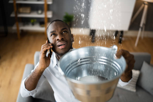 Best Water damage restoration near me  in Crosby, MN