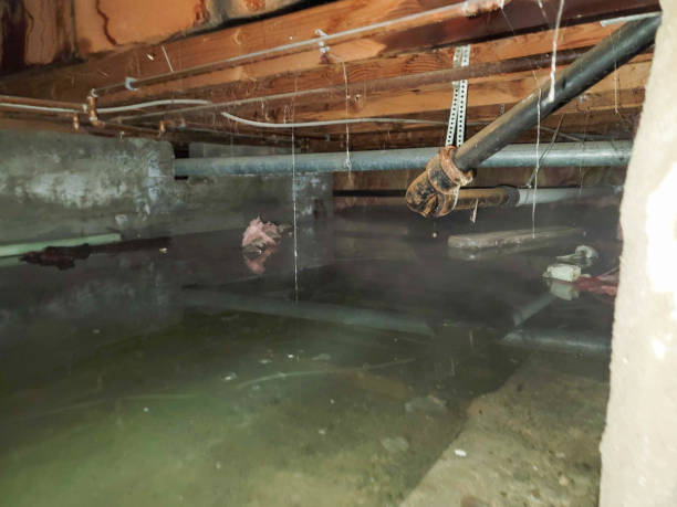 Best Emergency water damage restoration  in Crosby, MN