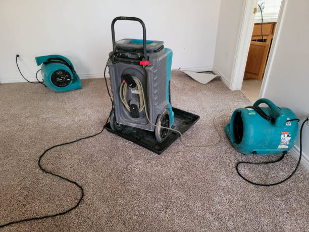 Water damage restoration insurance claims in Crosby, MN