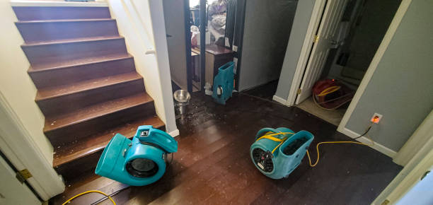 Best Flood damage cleanup  in Crosby, MN