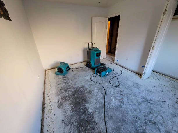 Best Flood restoration services  in Crosby, MN
