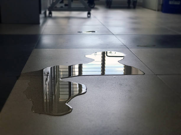 Best Local water damage restoration  in Crosby, MN