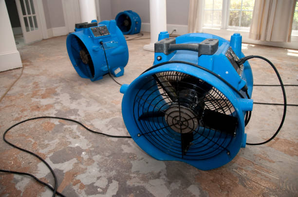 Best Emergency water damage restoration  in Crosby, MN