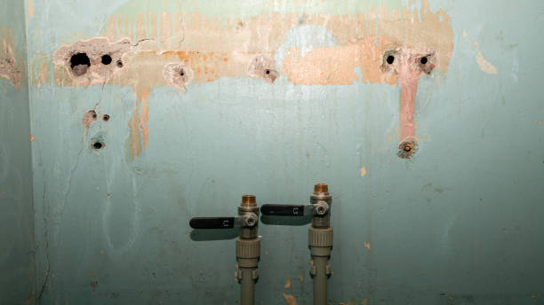 Best Fire Damage Restoration  in Crosby, MN